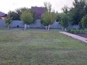IMG-20240827-WA0016